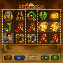 ViciBet - Book of Dead Slot - Play'n GO